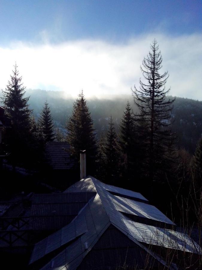 Apartments Dviletov Kutak Kopaonik Kültér fotó