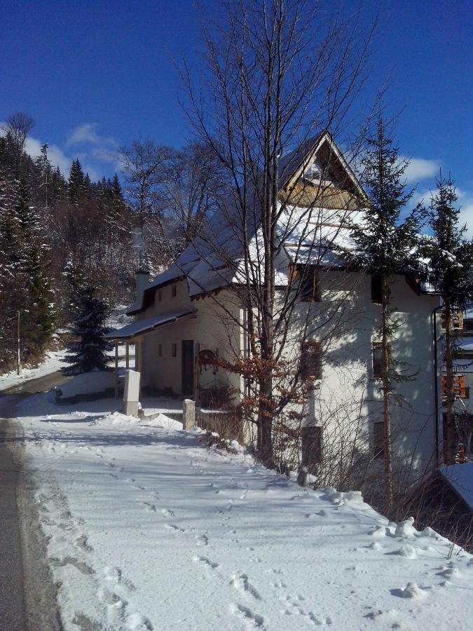 Apartments Dviletov Kutak Kopaonik Kültér fotó