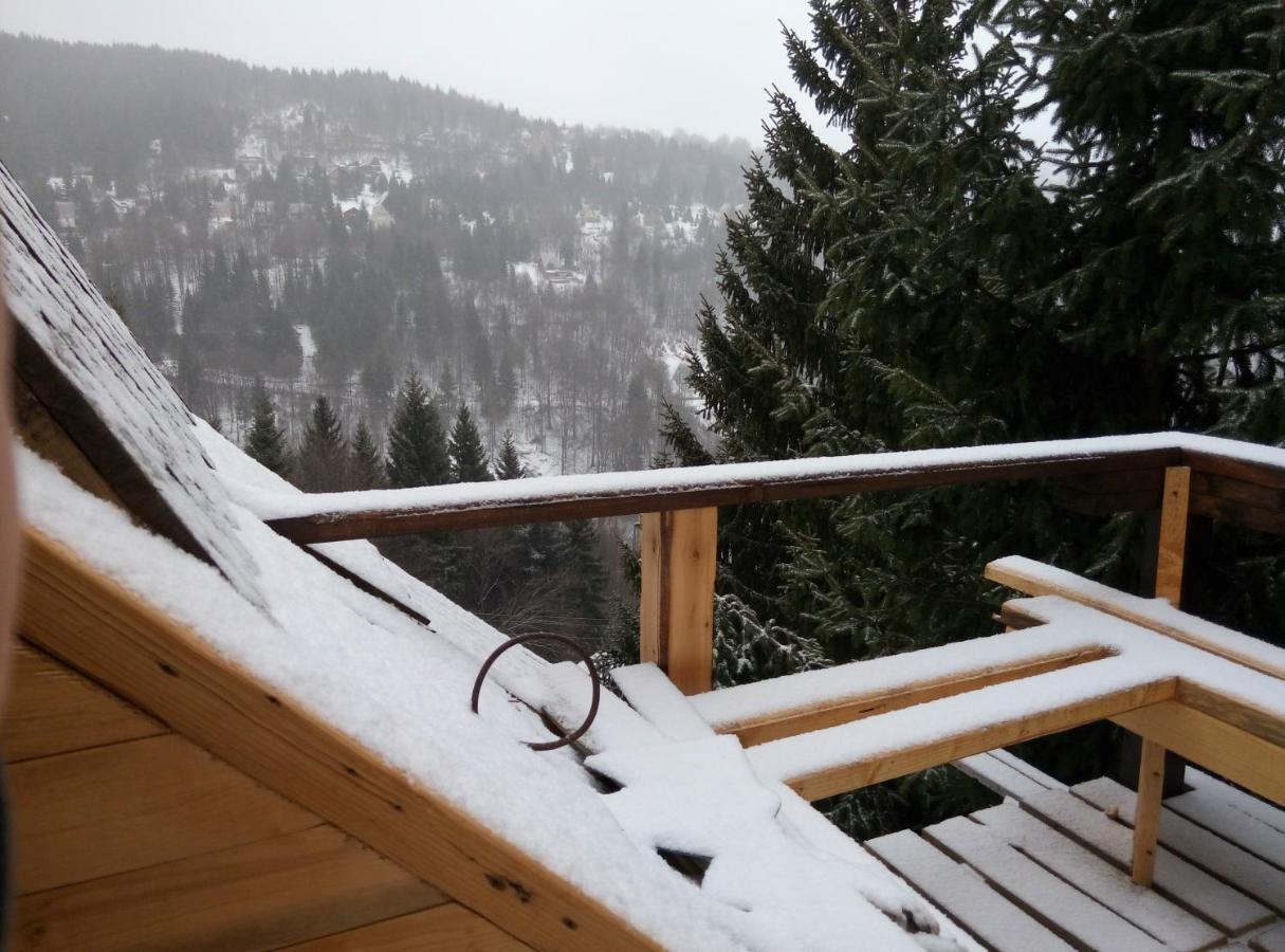 Apartments Dviletov Kutak Kopaonik Kültér fotó